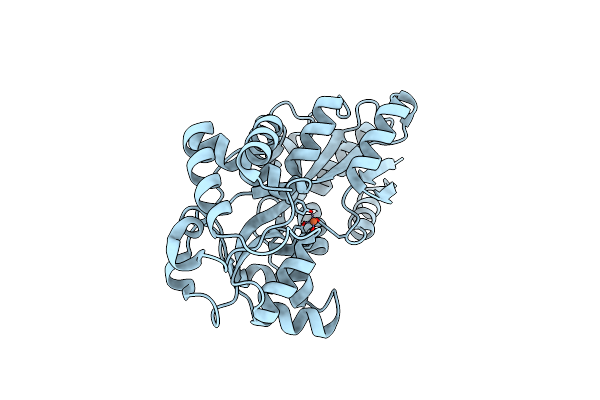 8OEM image