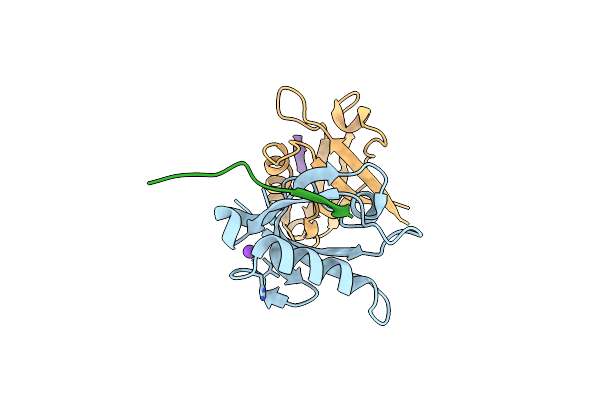 8OEP image