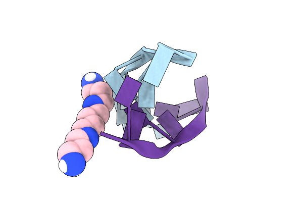 8OEX image