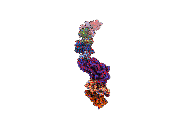 8OF8 image