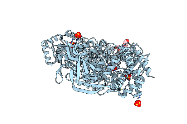 8OFB image