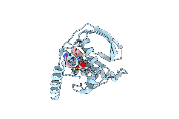 8OFE image
