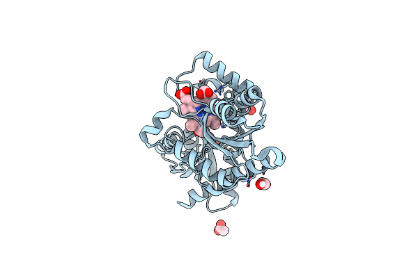 8OFL image