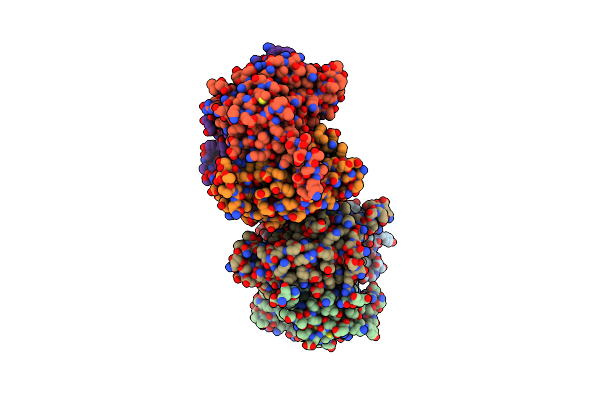 8OFP image