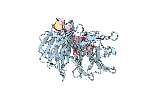 8OGA image
