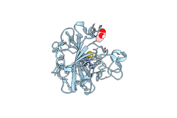 8OGD image