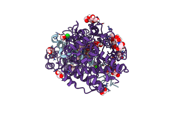 8OGI image