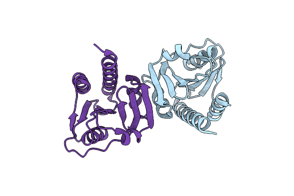 8OGM image