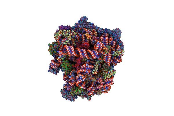 8OHD image
