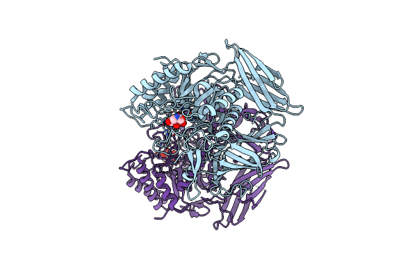 8OHX image