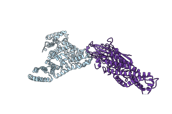 8OI2 image