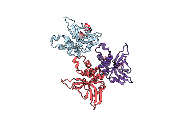 8OIG image