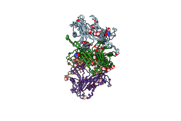 8OIH image