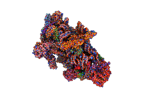 8OIP image