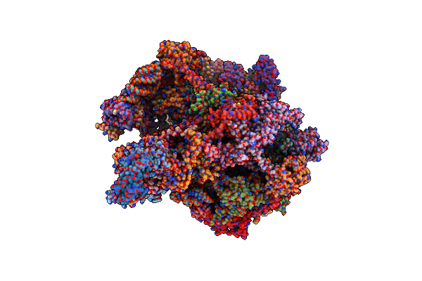 8OIQ image