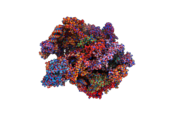 8OIT image
