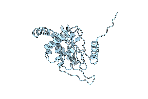 8OIU image