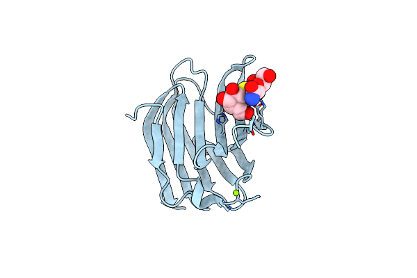 8OJK image