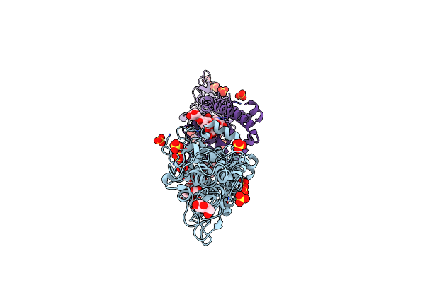 8OK6 image