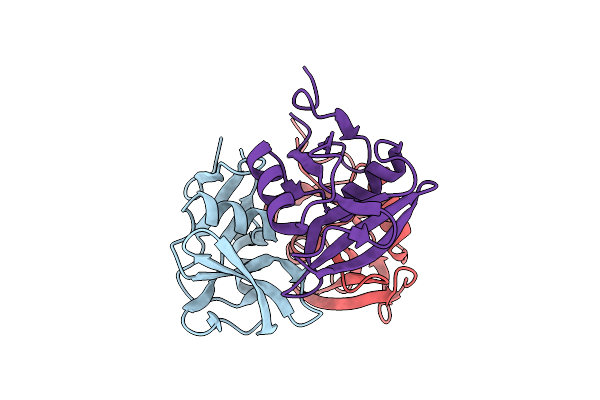 8OKS image