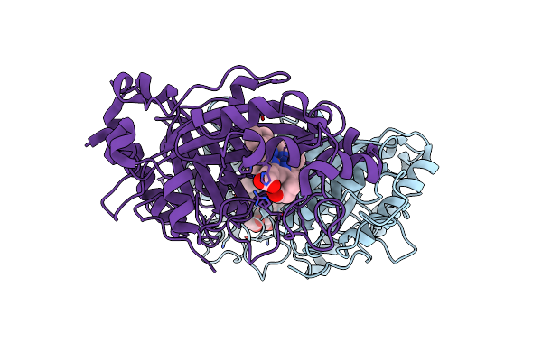 8OLP image