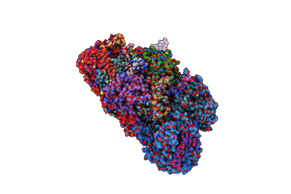 8OLT image