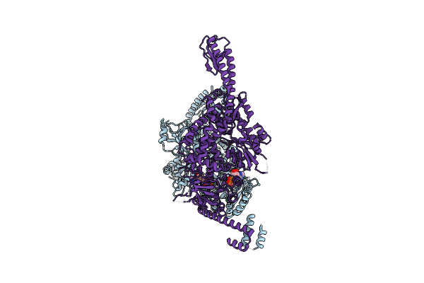 8OM5 image