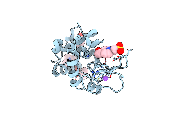 8OMT image
