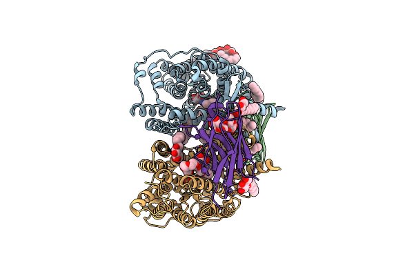 8OMZ image