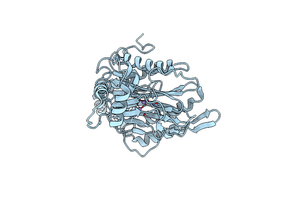 8ONX image