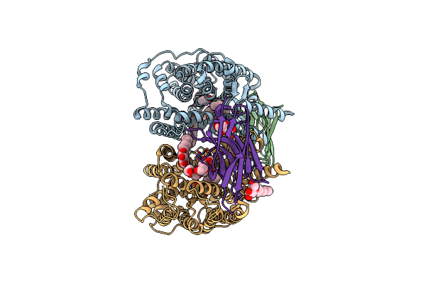 8OO1 image