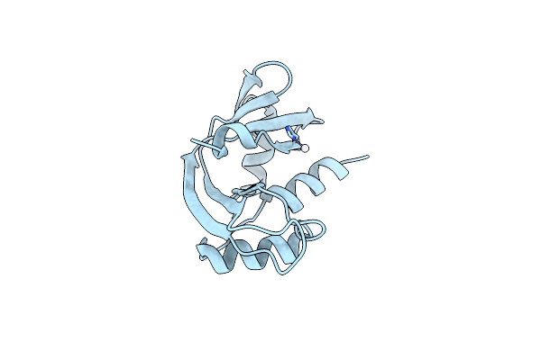 8OO4 image