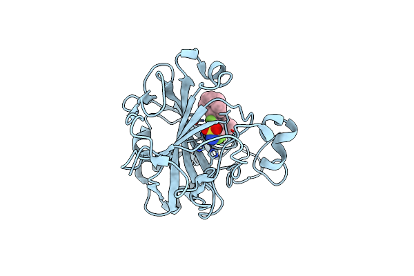8OO8 image