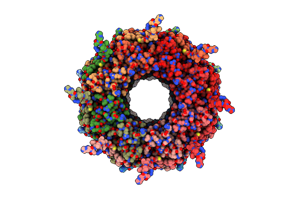 8OPA image