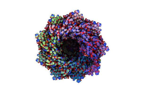8OPC image