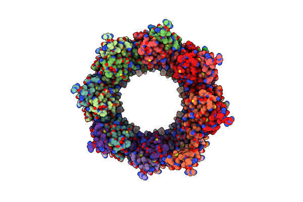 8OPF image