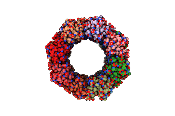 8OPG image
