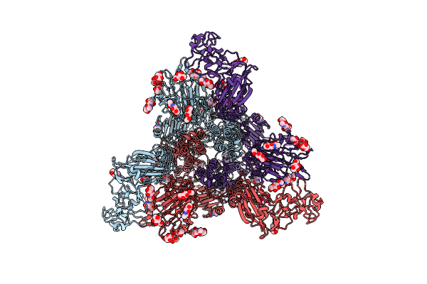 8OPO image