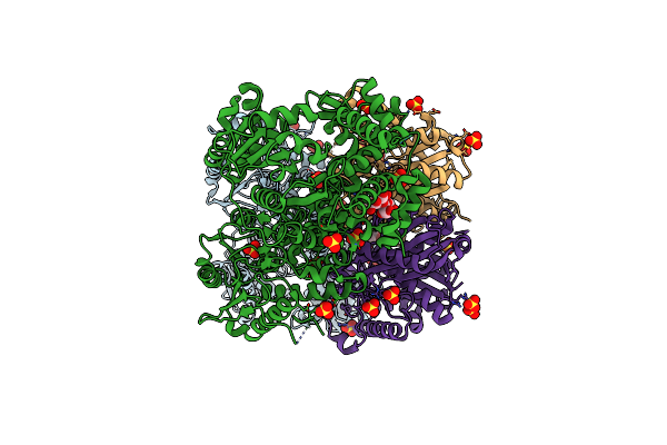 8OPX image
