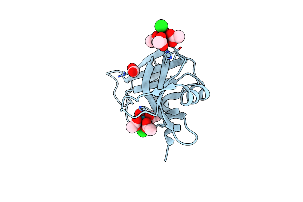 8OQD image