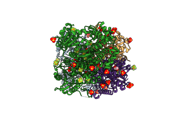 8OQL image