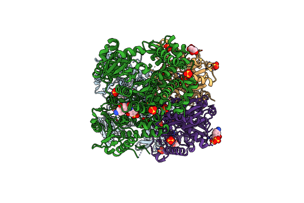 8OQM image