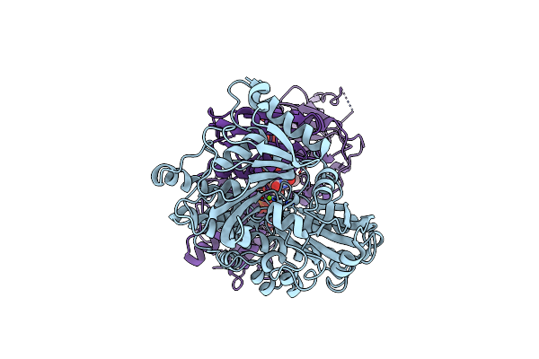 8ORJ image