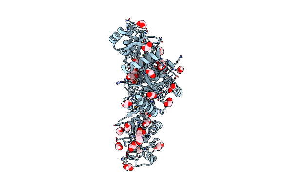 8ORK image