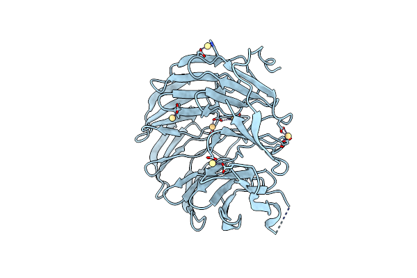 8ORR image