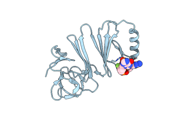 8ORV image