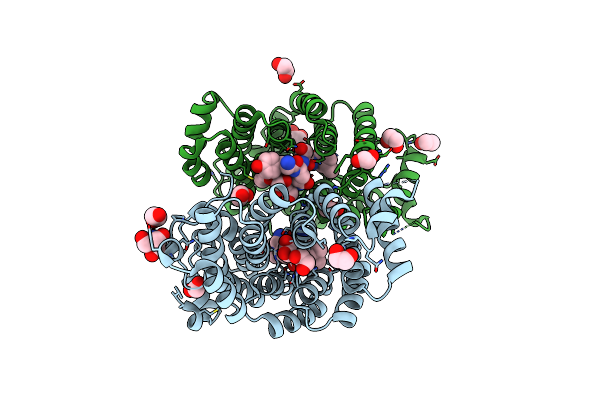 8OS1 image