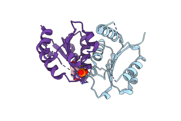 8OSC image