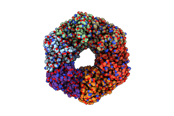 8OSF image