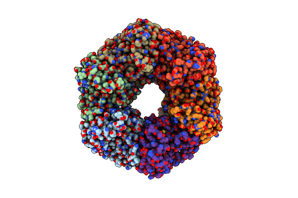 8OSG image